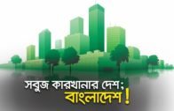 সবুজ কারখানার দেশ; বাংলাদেশ! | Bangla Business News | Business Report 2019