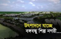 উৎপাদনে যাচ্ছে বঙ্গবন্ধু শিল্প নগরী | Bangla Business News | Business Report | 2019