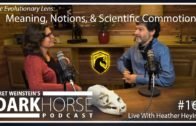 Bret and Heather 16th DarkHorse Podcast Livestream: Meaning, Notions, & Scientific Commotions