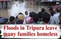 Floods in Tripura leave many families homeless  – Tripura News