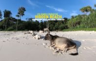 PARADISE HIDDEN BEACH – B'QUARRY IN CAMPBELL BAY | ANDAMAN & NICOBAR ISLANDS