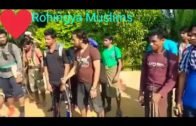 Today 24/1/2020 Arakan Rohingya Salvation Army ( ARSA )