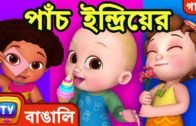 পাঁচ ইন্দ্রিয়ের গান – মানুষের ইন্দ্রিয় (Five Senses Song) – Bangla Rhymes For Children – ChuChu TV