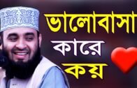 সত্যিকার ভালোবাসা ! মিজানুর রহমান আজহারী নতুন ওয়াজ | Mizanur Rahman Azhari new waz 2020 | Bangla Waz