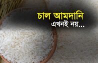 চাল আমদানি এখনই নয়| Bangla Business News | Business Report 2020