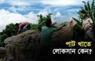 পাট খাতে লোকসান কেন? | Bangla Business News | Business Report 2019