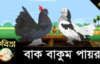 Bangla Rhymes | Bak Bakum Payra বাক বাকুম পায়রা | Full HD