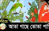 Bangla Rhymes | আতা গাছে তোতা পাখি | Full HD