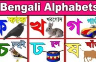 Banjonborno song | ব্যঞ্জনবর্ণ -ক খ | Bangla Bornomala | Bangla Rhymes for Children