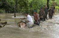 Flood Situation Grim in Assam & Bihar| Morning News| 25-7-2020