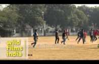 Football match by Assam Association of Delhi