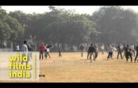 Friendly Football match by Assam Association: Bihu celebration in Delhi