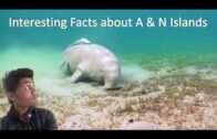Interesting Facts about Andaman & Nicobar Islands