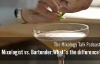 Mixologist vs. Bartender: What’s the difference? – Mixology Talk Podcast Audio