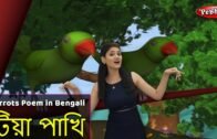 Parrot Song in Bengali | Bengali Rhymes For Kids | Baby Rhymes Bengali | Bangla Children Songs