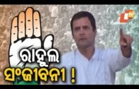 Rahul Gandhi’s recent visit seen as morale-booster for Odisha Congress