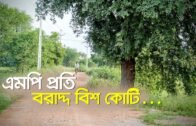 এমপি প্রতি বরাদ্দ বিশ কোটি..| Bangla Business News | Business Report 2020