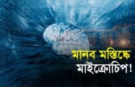 মানব মস্তষ্কে মাইক্রোচিপ বসানোর ঘোষণা নিউরালিঙ্কের! | Bangla Business News | Business Report 2019