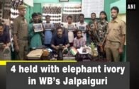 4 held with elephant ivory in WB’s Jalpaiguri – West Bengal News