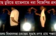 গাছ চুরিতে হাতেনাতে ধরা পড়লো বিজেপির প্রধান | Tripura news live | Agartala news