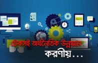 টেকসই অর্থনৈতিক উন্নয়নে করণীয় | Bangla Business News | Business Report