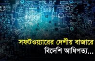 সফটওয়্যারের দেশীয় বাজারে বিদেশি আধিপত্য | Bangla Business News | Business Report 2019