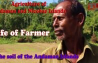 Agriculture of Andaman and Nicobar Islands