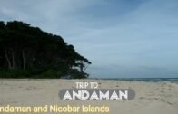 Andaman and Nicobar Islands | Andaman Trip | Places to Visit in Andaman | Andaman Island in Tamil