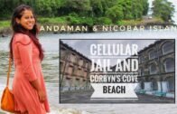 Andaman and Nicobar Islands | Ross Island | North Bay Island | Andaman trip | Travel Vlog | Part 2