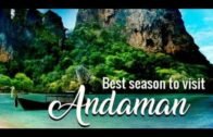 Andaman and Nicobar Islands tourism.Trip in 4days | Best tourist place in India | #ANDAMAN #ISLAND