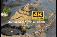 Andaman and Nicobar Islands Trip Telugu Travel Vlog in 4K
