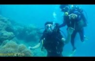 Andaman India scuba diving