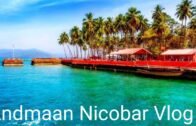 Andaman Nicobar 🏖️ || Green Ocean🛳️ || Havelock🌴 || Elephant Beach🌊🐘 || Kalaphattar Beach || Vlog-2
