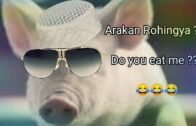 Arakan Rohingya ??? Do you eat me ??? This is a image. 😂😂😂