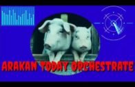 Arakan Today Orchestrate