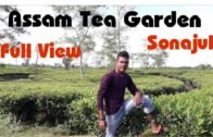 Assam sonitpur sonajuli tea garden and football match  in Hindi   N_vlog isko subscribe jarur kare