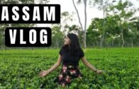 Assam Vlog I Wild Mahseer Eco Friendly Tourism I #AWESOMEASSAM