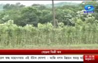 সংবাদ লৌহিত্য, (Assamese News 8:30 PM)