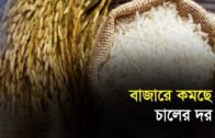 বাজারে কমছে চালের দর | Bangla Business News | Business Report 2019