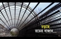 চড়ছে রডের বাজার | Bangla Business News | Business Report 2019