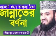 Bangla Waz জান্নাতের বর্ণনা Mizanur Rahman Azhari মিজানুর রহমান আজহারী Jannater Bornona