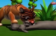 Bengali Animal Rhymes Top 10 Collection 3 | বাংলা গান | Bengali Rhymes For Kids | 3D Animal Songs