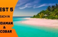 Best 5 Beach in Andaman & Nicobar Island | Andaman Tourism