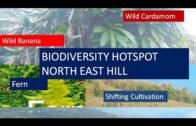 Biodiversity Hotspot in North East Hill@