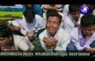 #Breaking News 25th August 2020 share like commander Rohingya News Arakan Rohingya song best Tarana