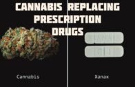 Can Xanax & Opioids Be REPLACED By Cannabis? *Obviously* But…