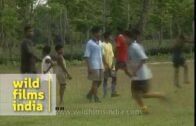 Children warm up before football match in Assam