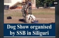 Dog Show organised by SSB in Siliguri – West Bengal #News