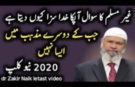 dr zakir naik Urdu translate video by this girl || dr zakir naik 2020
