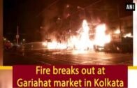 Fire breaks out at Gariahat market in Kolkata – West Bengal News